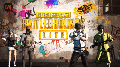 الإصدار المخفض من لعبة "PUBG" سيكون قريبا متوفرا في هذه الدولة