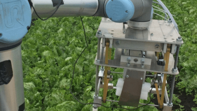 مهندسون بريطانيون يبتكرون روبوتا يحصد المحاصيل الزراعية